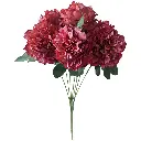 630597玫红.webp