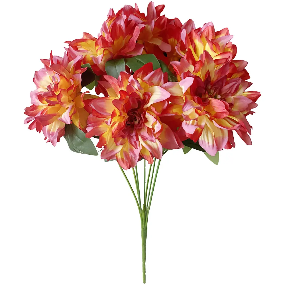 630596橘色.webp