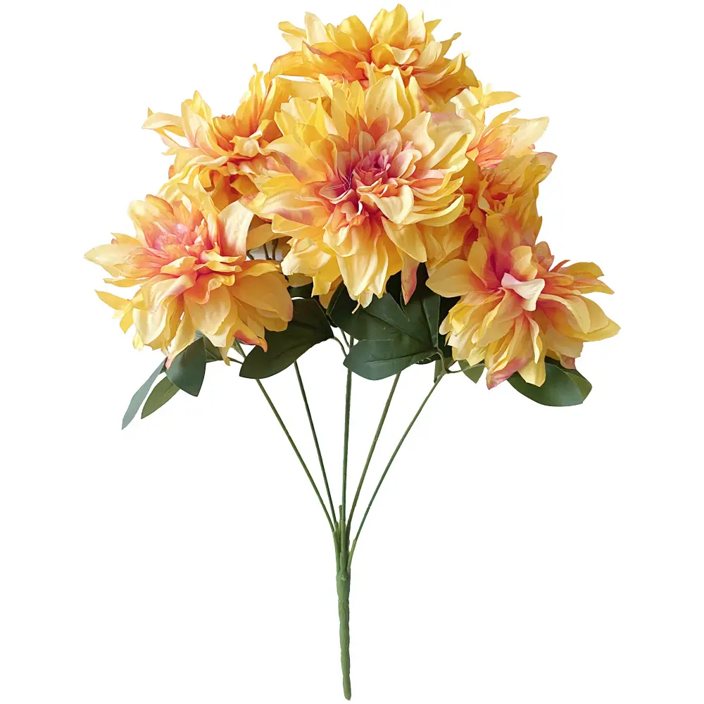 630596黄色.webp