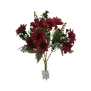 630963红.webp