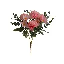 630959粉色.webp