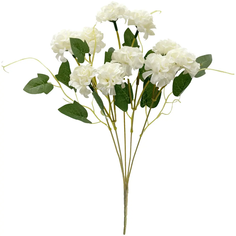 630824白.webp