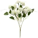 630824白.webp