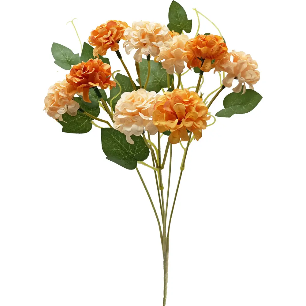 630824橘黄.webp