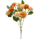 630824橘黄.webp