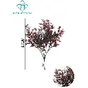 630996ROSA.webp