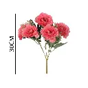 631262FUCSIA.webp