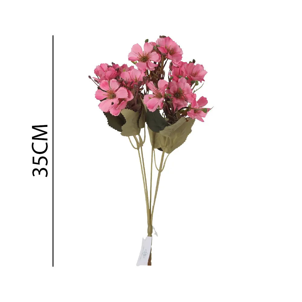 631256ROSA.webp
