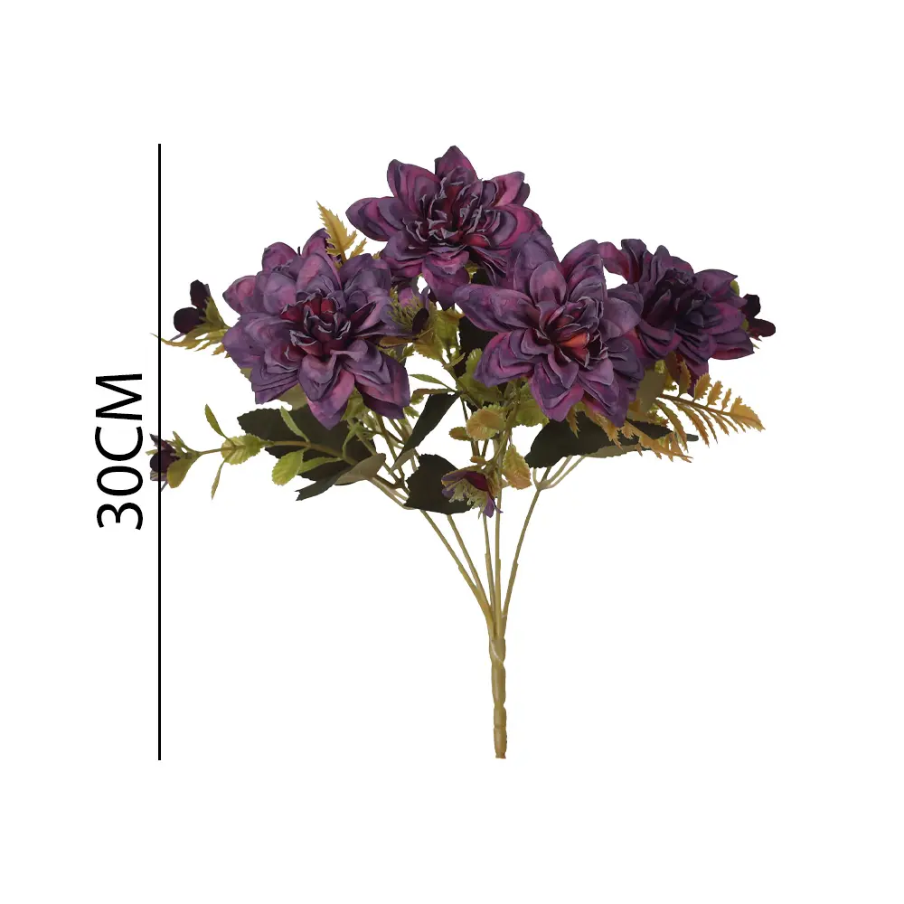 631249MORADO.webp