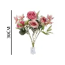 631258ROSA.webp