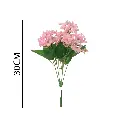 631259ROSA.webp