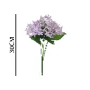 631259MORADO.webp