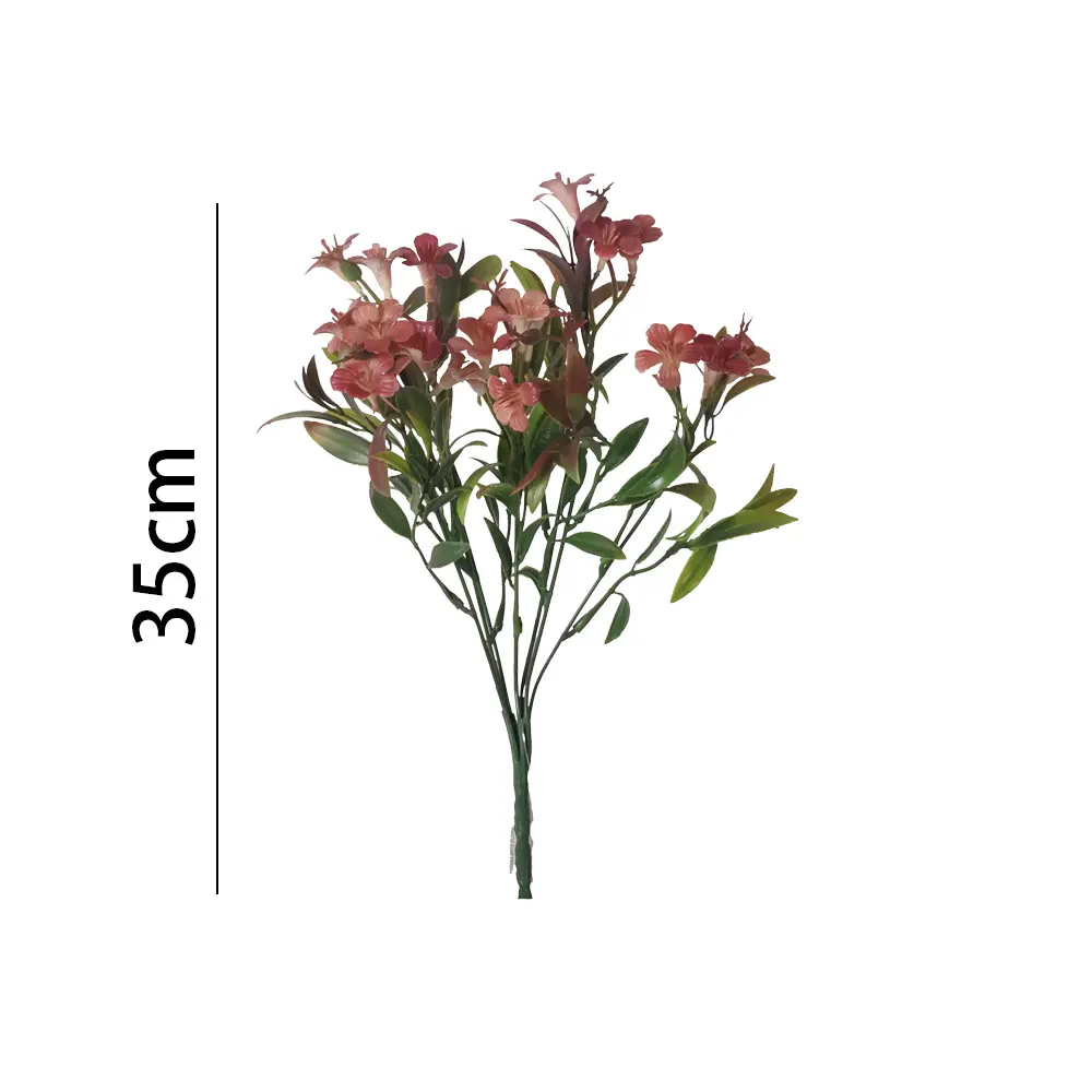 631308ROJO.webp