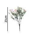 631308ROSA.webp