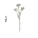 631169BLANCO.webp