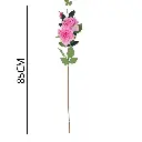 631267ROSA OSCURO.webp
