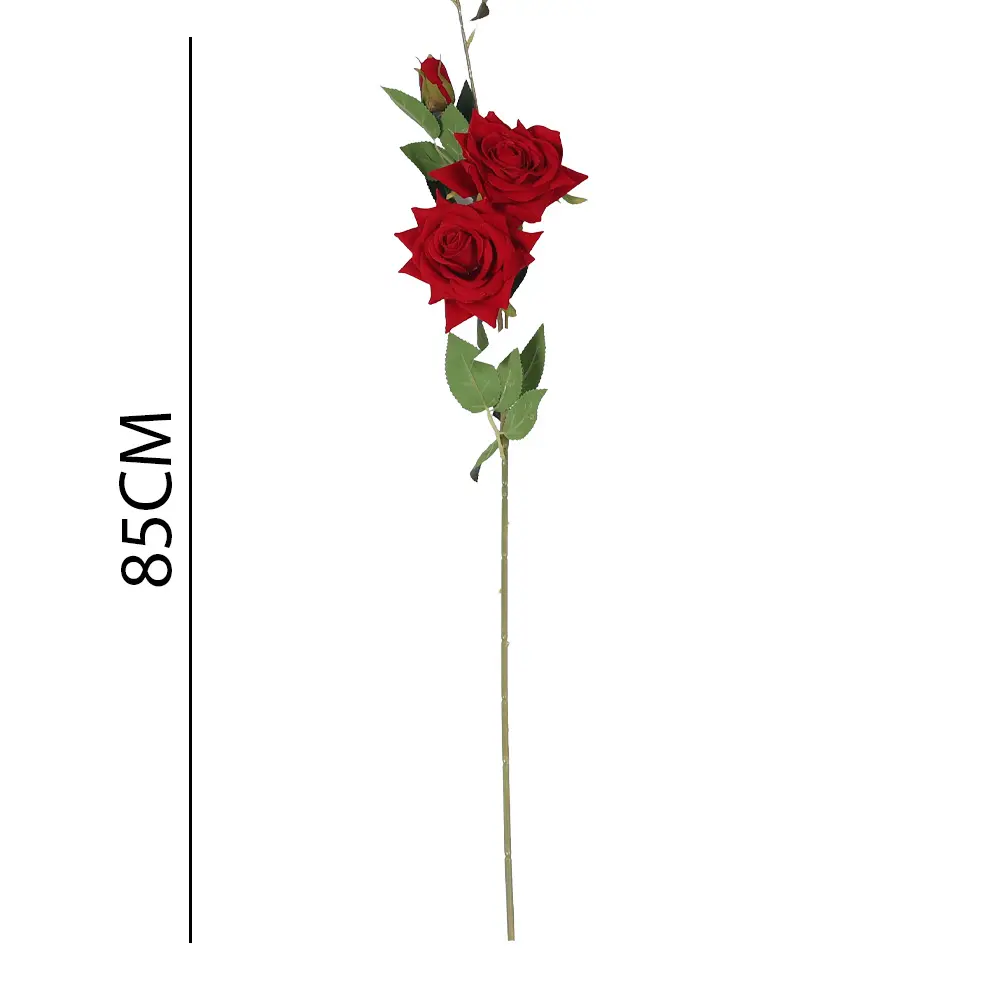 631267ROJO.webp