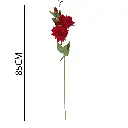 631267ROJO.webp