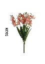 630917NARANJA.webp