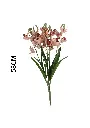 630917CHAMPAGNE.webp
