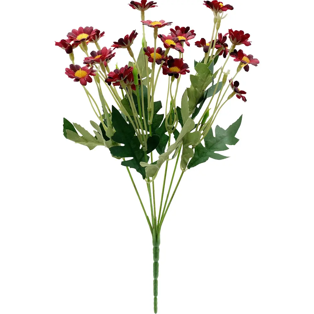 630956紫红.webp