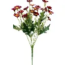 630956紫红.webp