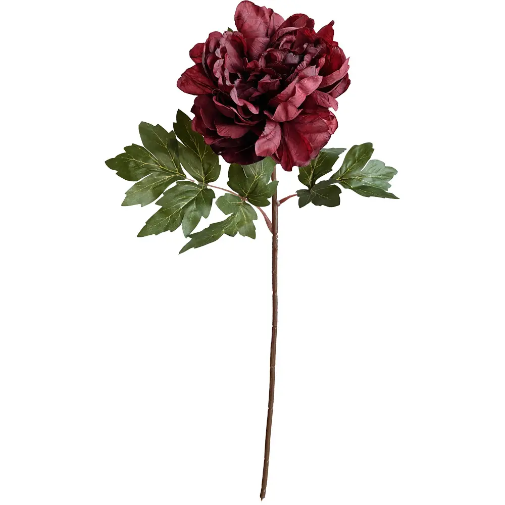 630987红.webp
