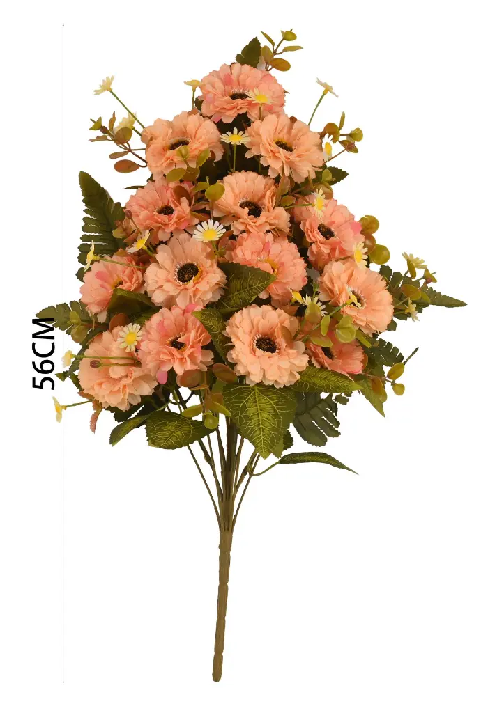 6101095香槟.webp