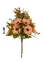 6101098香槟.webp