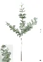 630227-14灰.webp