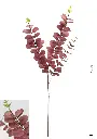 630227-13粉.webp
