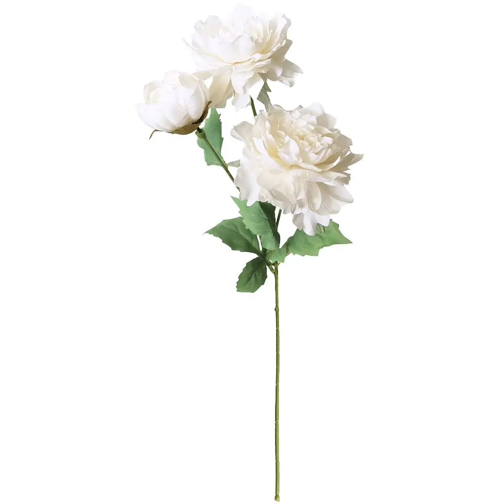 630308奶白.webp