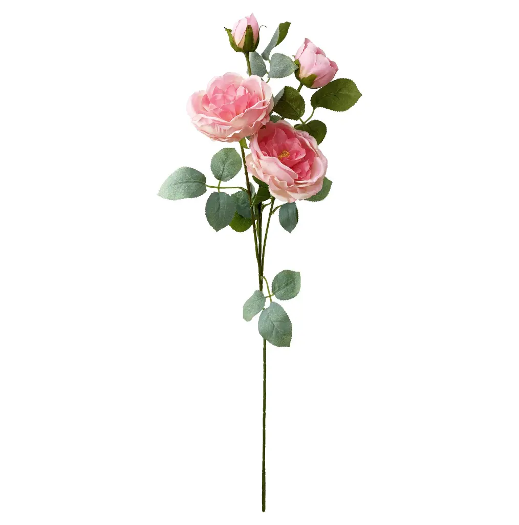 630605粉色.webp