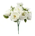 630606白色.webp