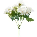 630665白色.webp