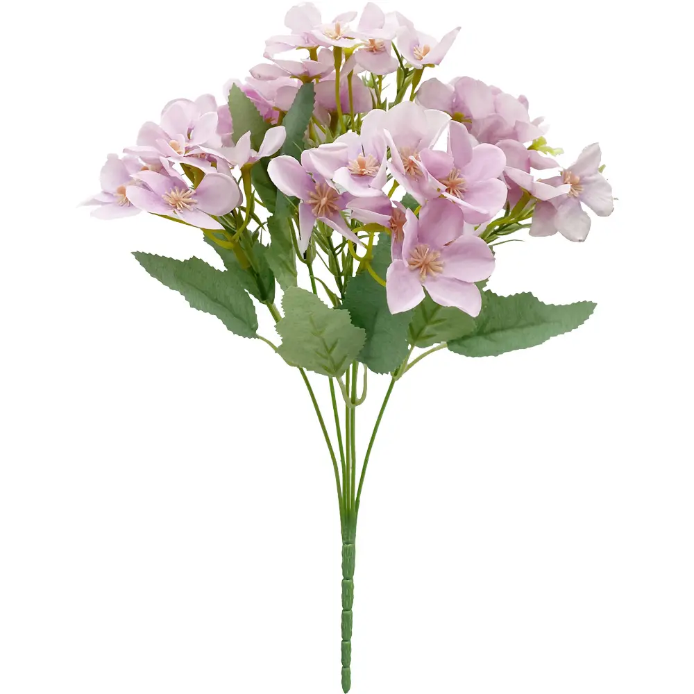 630665紫色.webp