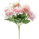 630668粉.webp