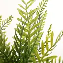630670-1细节.webp