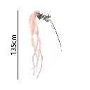 631101ROSA.webp