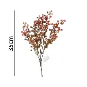 630671NARANJA.webp