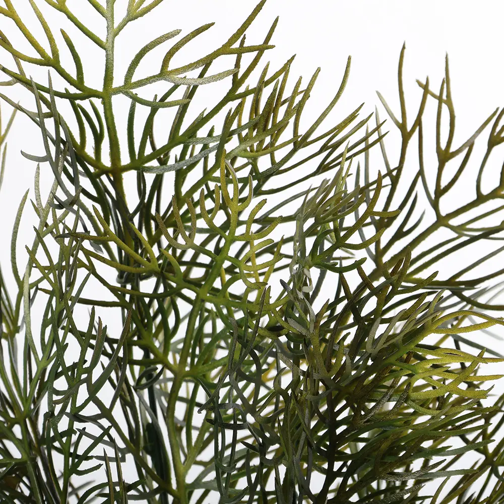 630675-1细节.webp