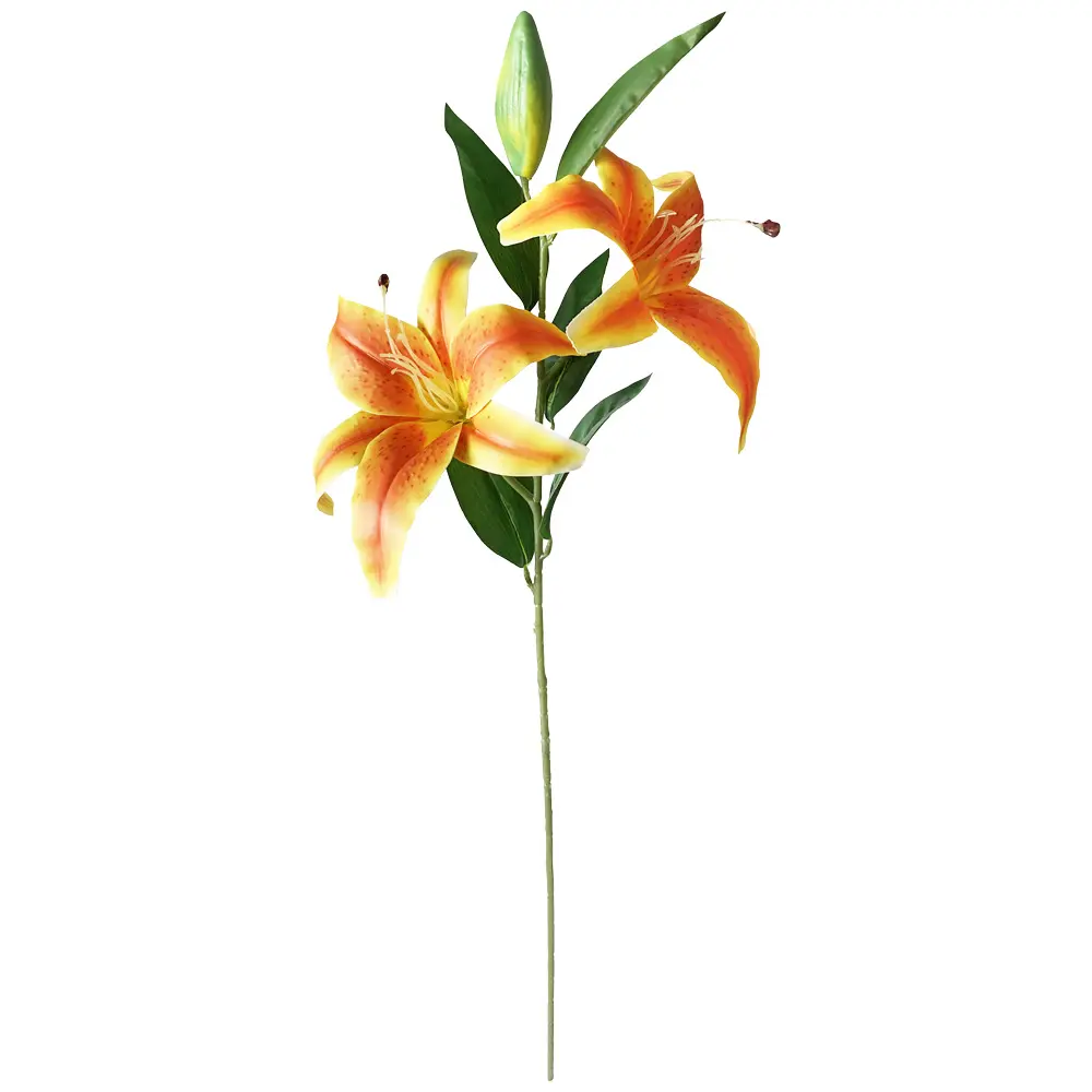 630697-2橘色.webp