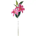 630697玫红.webp