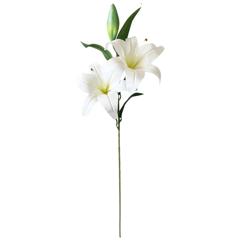 630697白色.webp