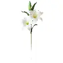 630697白色.webp