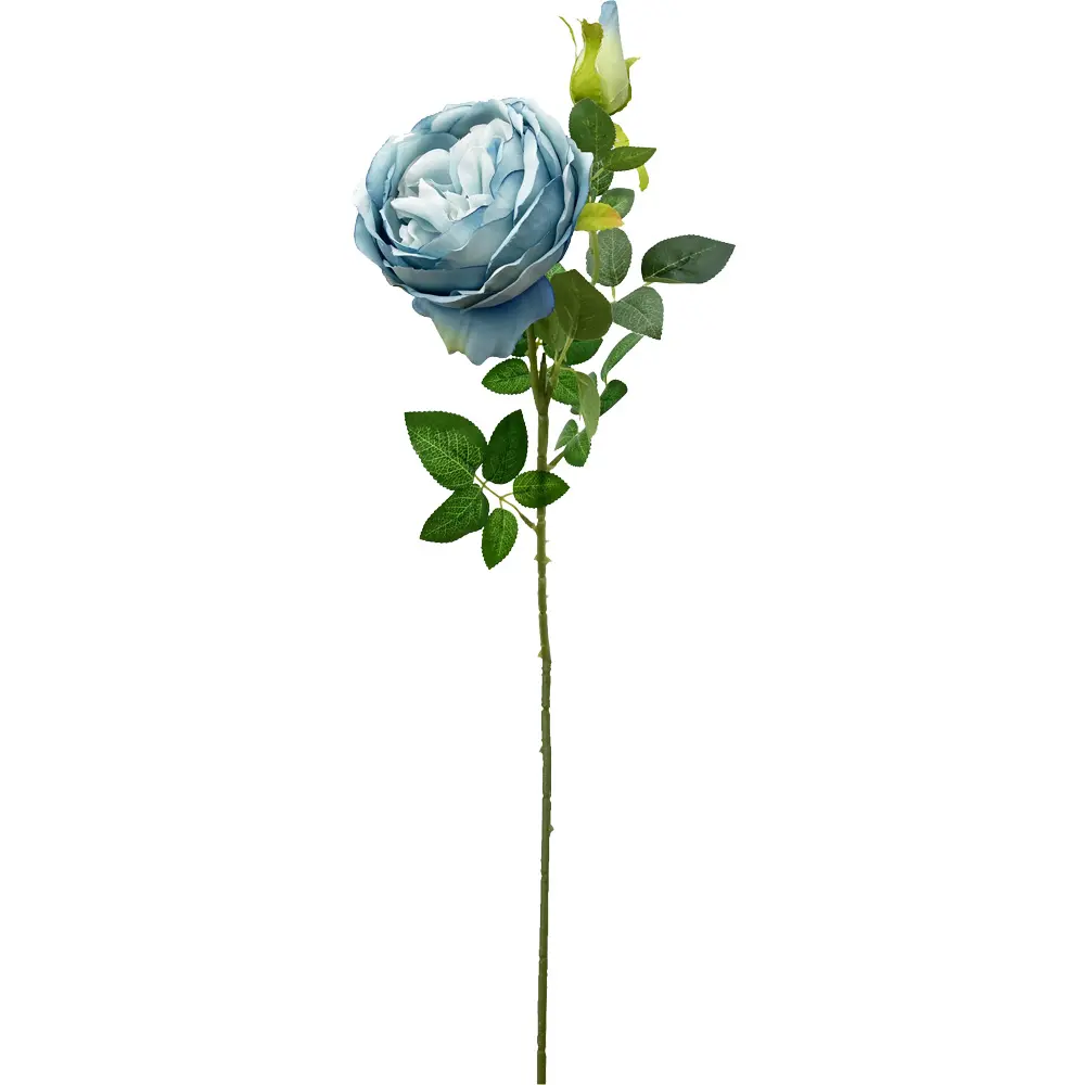 630699蓝色.webp