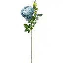 630699蓝色.webp