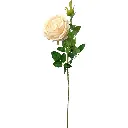 630699奶白.webp
