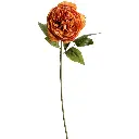 630984夕阳.webp
