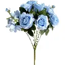 630721蓝色.webp